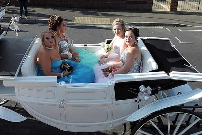 Prom Carriage Horses 2