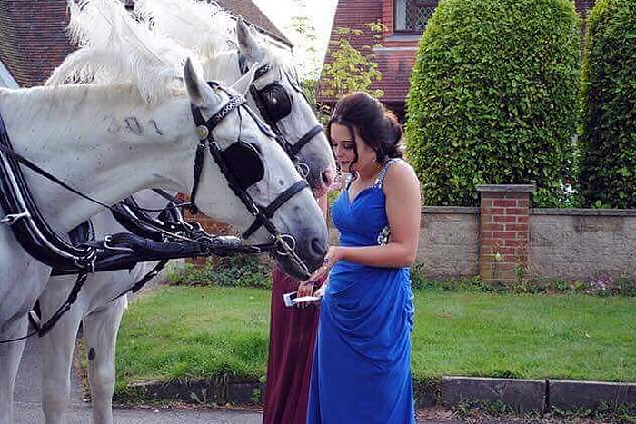 Prom Carriage Horses 1