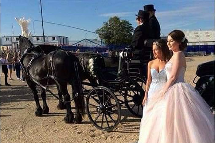 Prom Carriage Horses 3