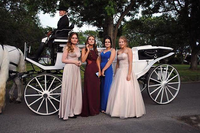 Prom Carriage Horses 4