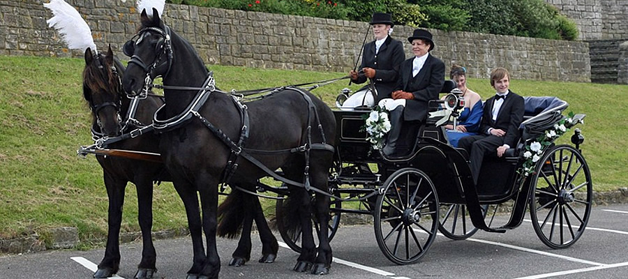 Prom Carriage