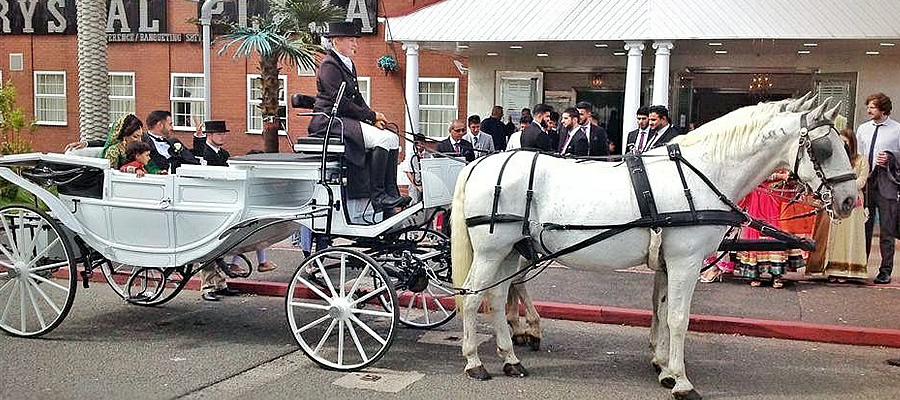 Wedding Carriage