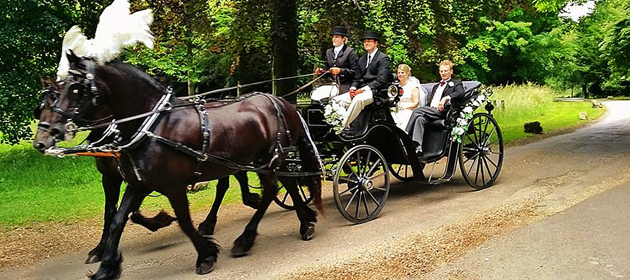 Wedding Carriage