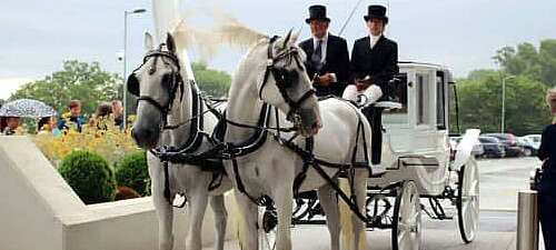 View Wedding Services