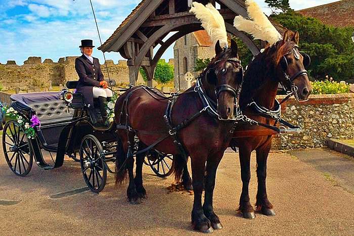 Carriage Horses 9
