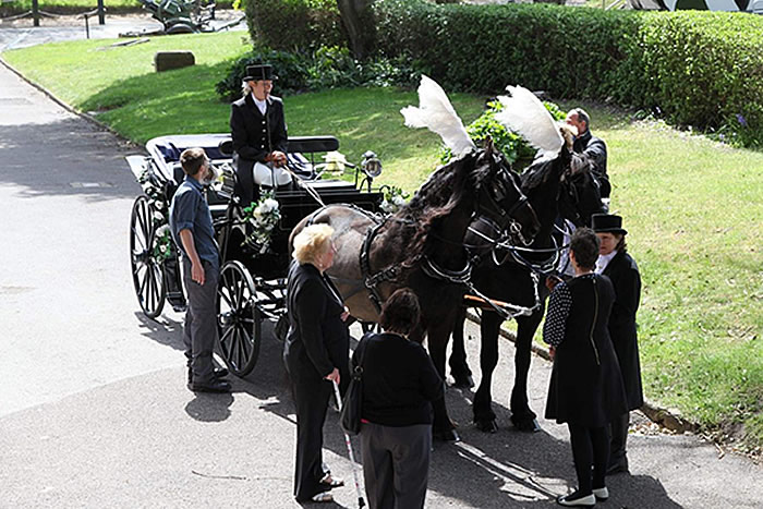 Carriage Horses 2