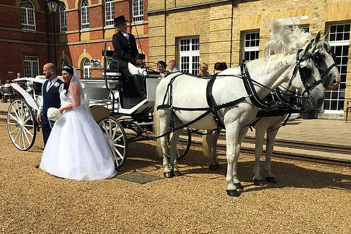 Carriage Horses 2