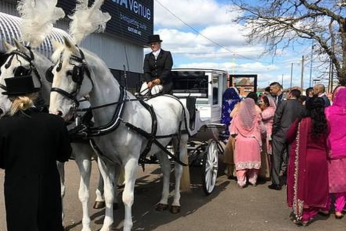 Carriage Horses 2