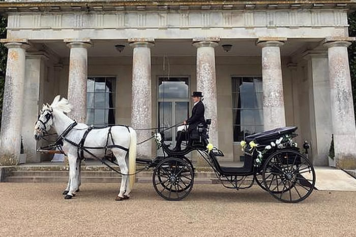 Carriage Horses 2