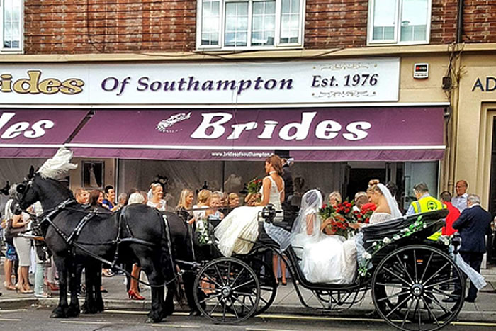 Carriage Horses 4