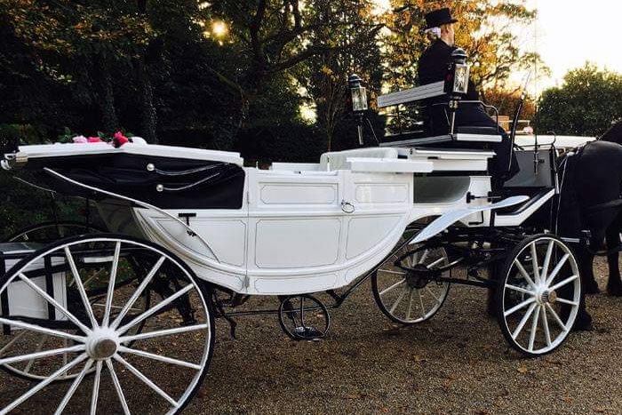 Carriage Horses 5
