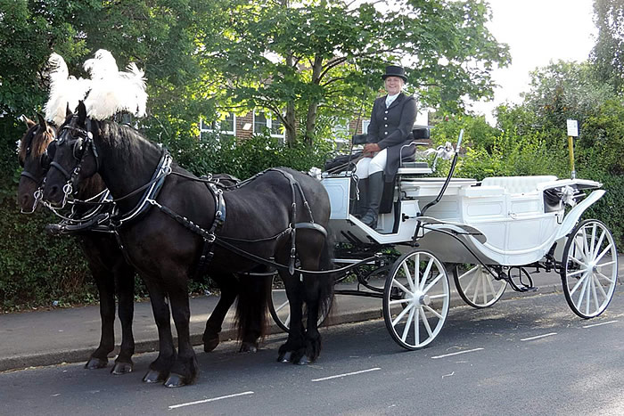 Carriage Horses 6