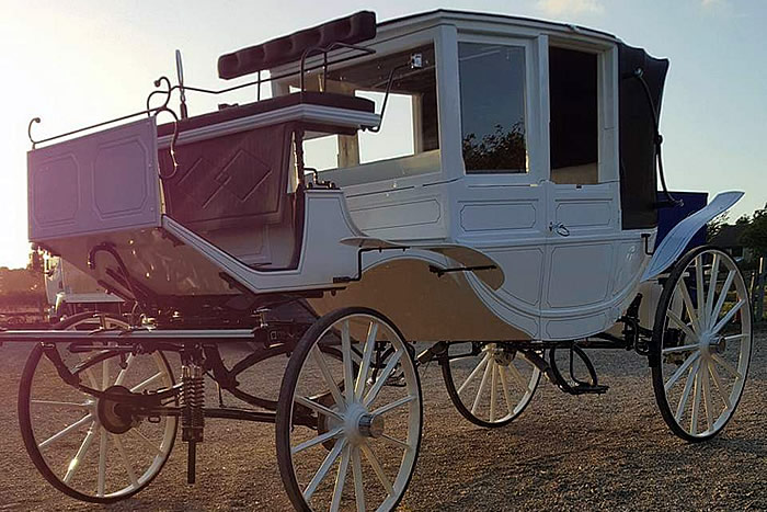 Carriage Horses 8