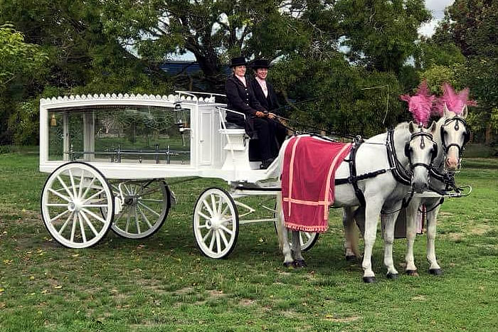 Funeral Horses Carriage 4