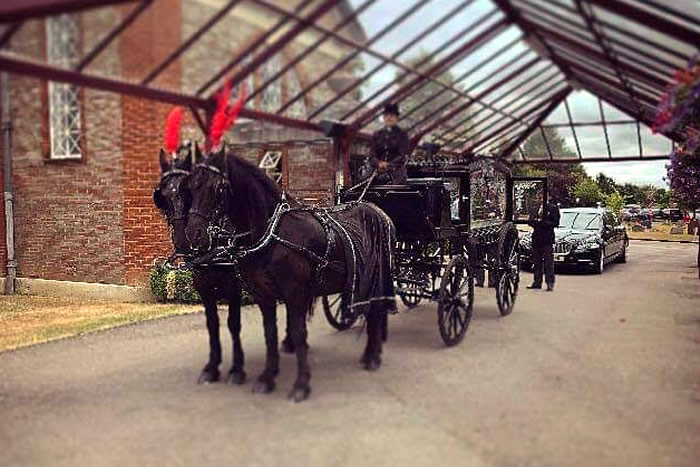 Funeral Horses Carriage 5