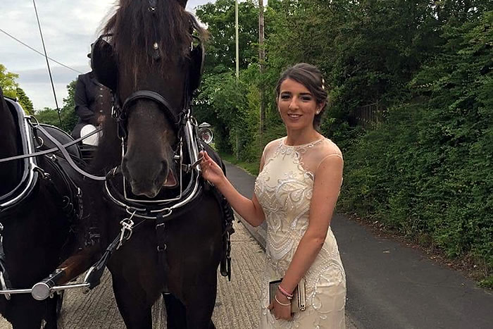 Prom Carriage Horses 7