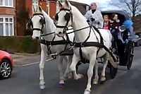 Prom Celebration Carriage