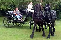 Prom Celebration Carriage