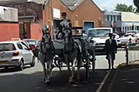 Prom Celebration Carriage